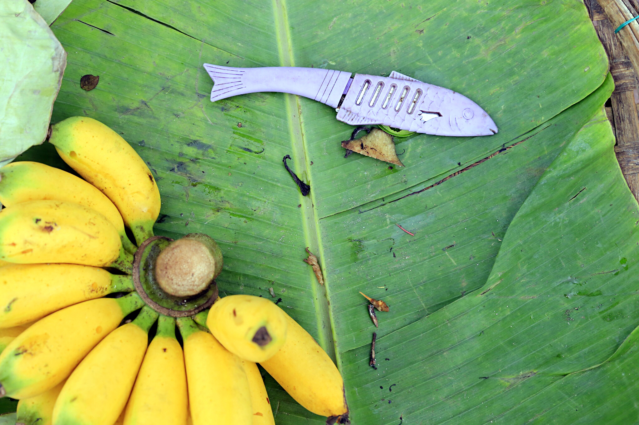 在越南会安古镇，喝一杯柠檬叶荷花茶、拍一次灯笼里的订婚照