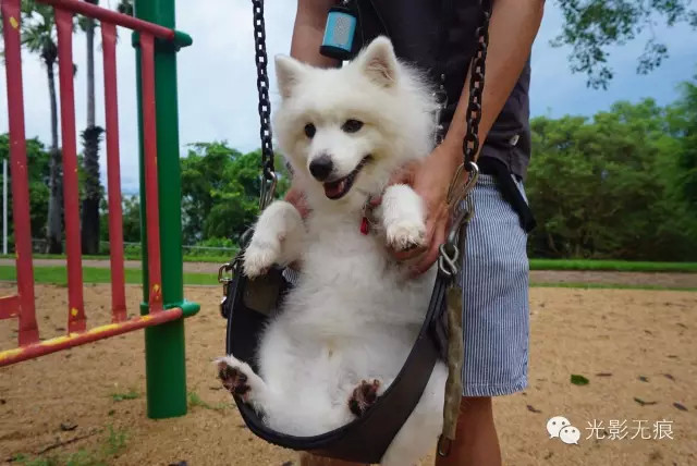 放慢脚步一起看世界,放慢脚步一起赏秋