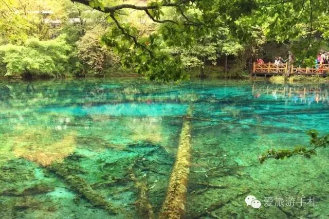 去九寨沟自由行攻略图解大全,怎么游遍九寨沟景区