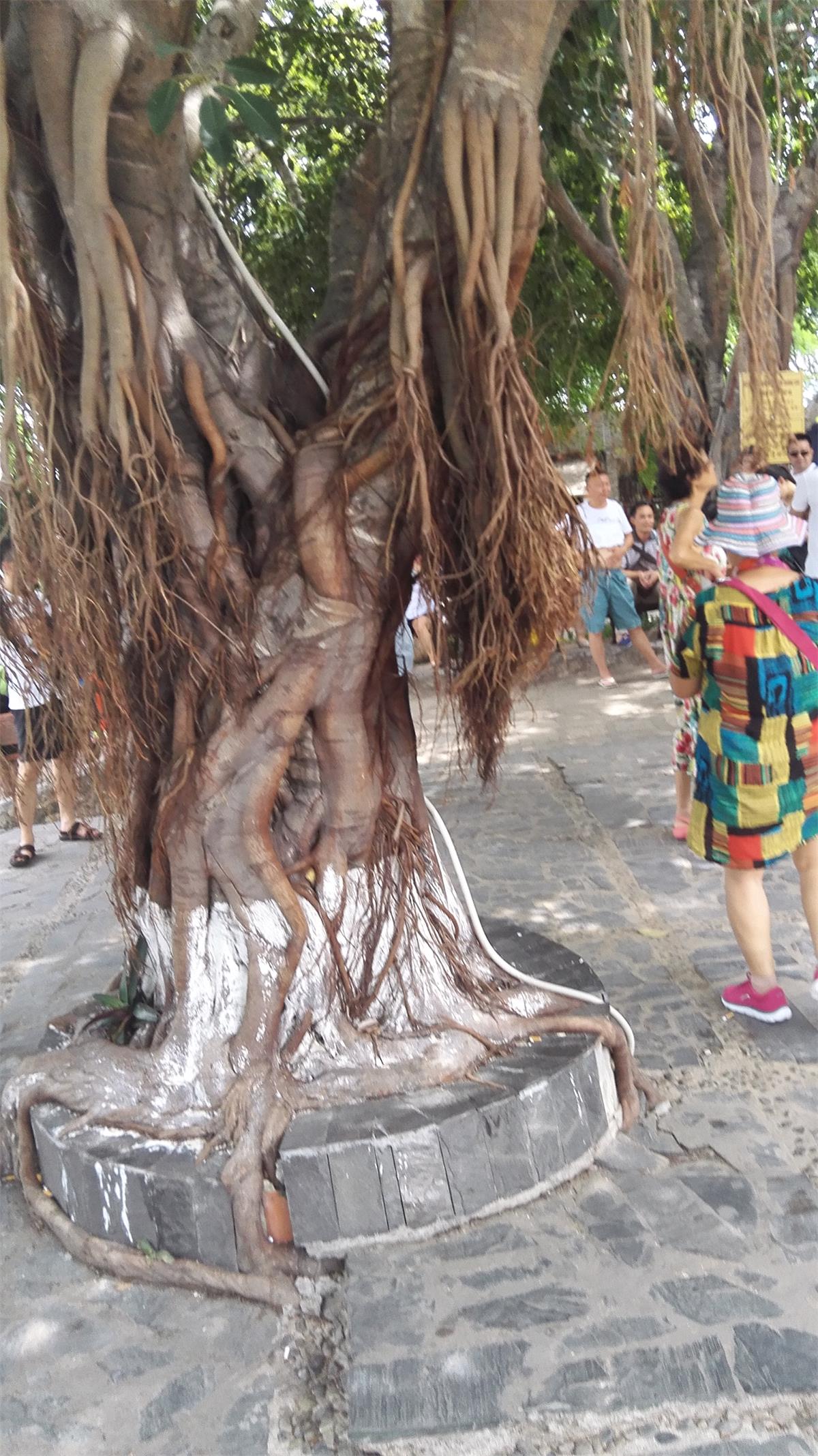 5天4夜玩转越南芽庄,越南芽庄90天