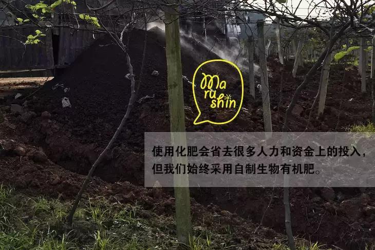 农心|一起向匠人精神致敬!