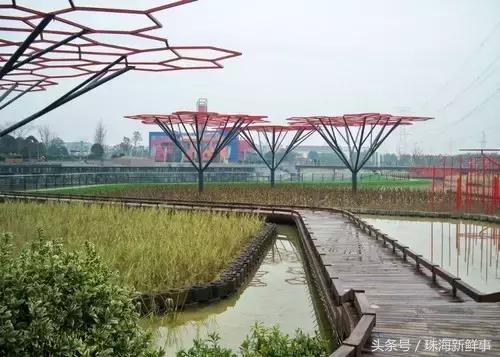 珠海现在还有哪些公园,美爆了的景点