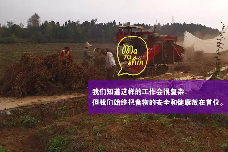 农心|一起向匠人精神致敬!