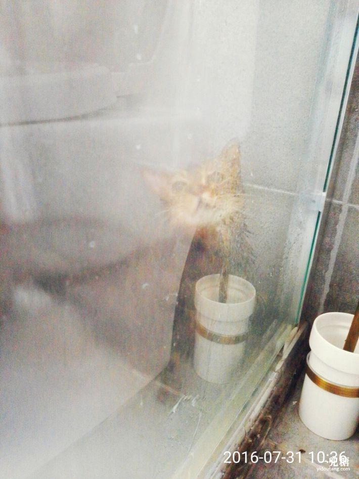 哪一种电暖炉比较好,轻奢电暖炉