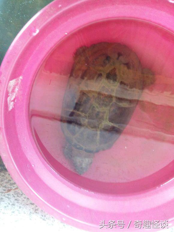 我在非洲工作的日子，给大家介绍下非洲的风土人情