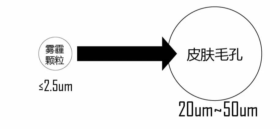 抗污染面霜,熬夜抗氧化面霜测评
