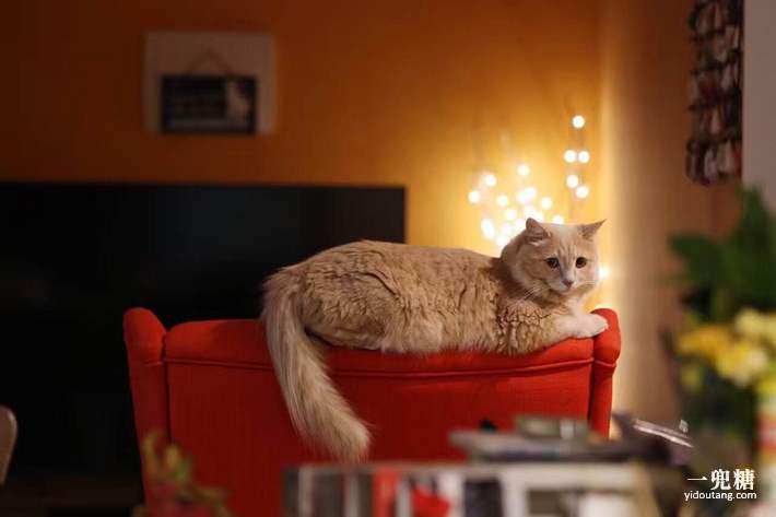 哪一种电暖炉比较好,轻奢电暖炉