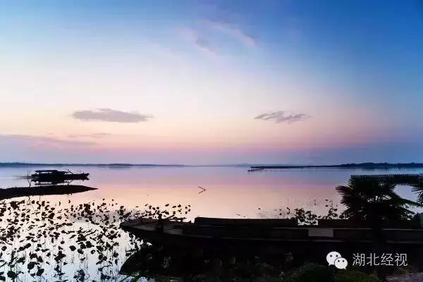 武汉秋天不可错过的美景,武汉踏春打卡地