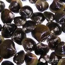 江西都昌——有得看，有得吃，有得玩