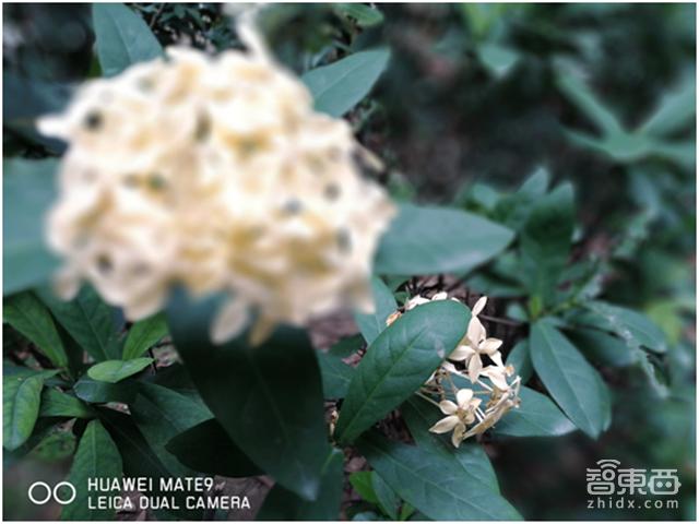 华为mate9徕卡发布会,华为mate9是徕卡吗