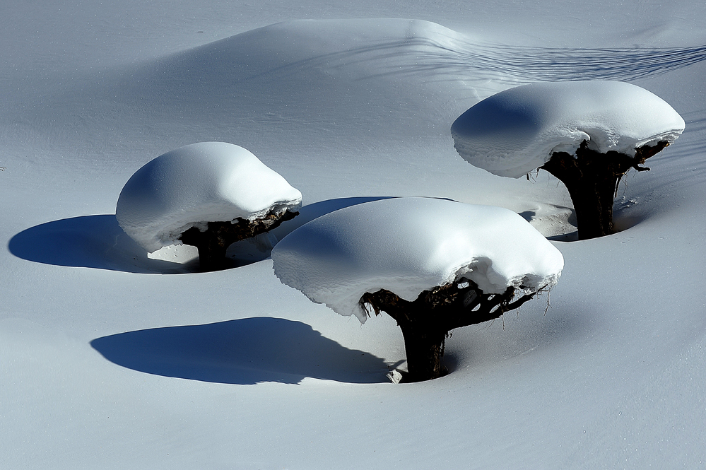 哈尔滨冰雪节五号放假了吗,哈尔滨国际冰雪节开幕