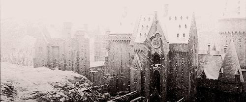 霍格沃茨学校是什么学校,北大霍格沃兹学校