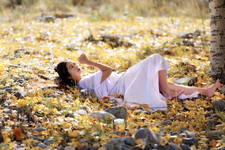 我在秋天等你是什么歌,我在秋天等你美到心碎散文