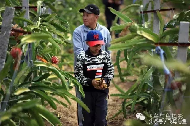 最好的旅游就是陪伴,一场美好的旅行是爱的陪伴
