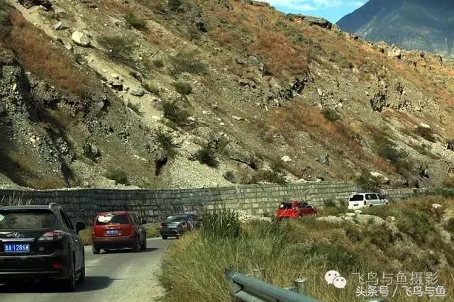 最好的旅游就是陪伴,一场美好的旅行是爱的陪伴