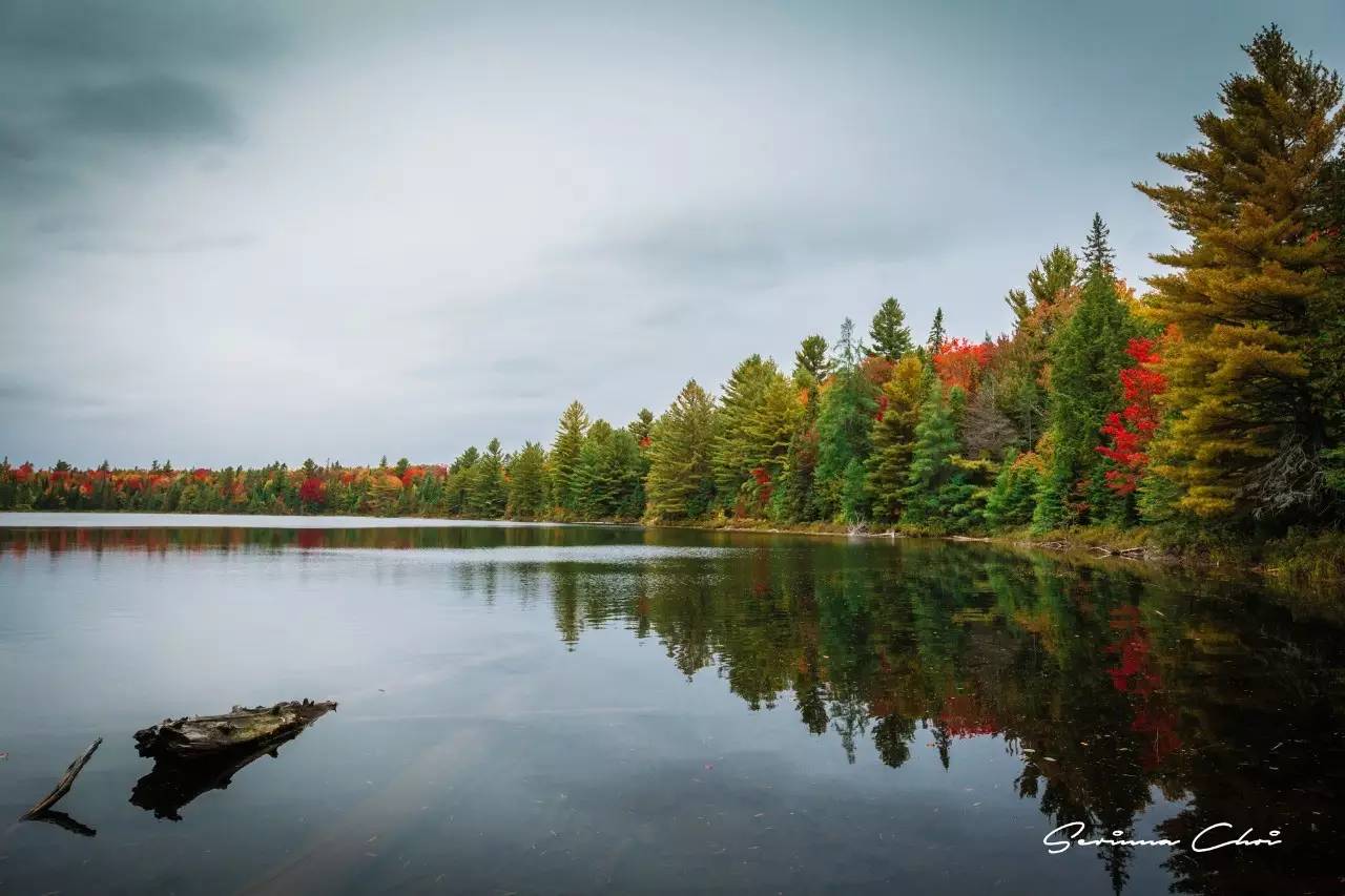 琛屾憚鍗冨北涓囨按鏁欑▼,琛屾憚鏀荤暐