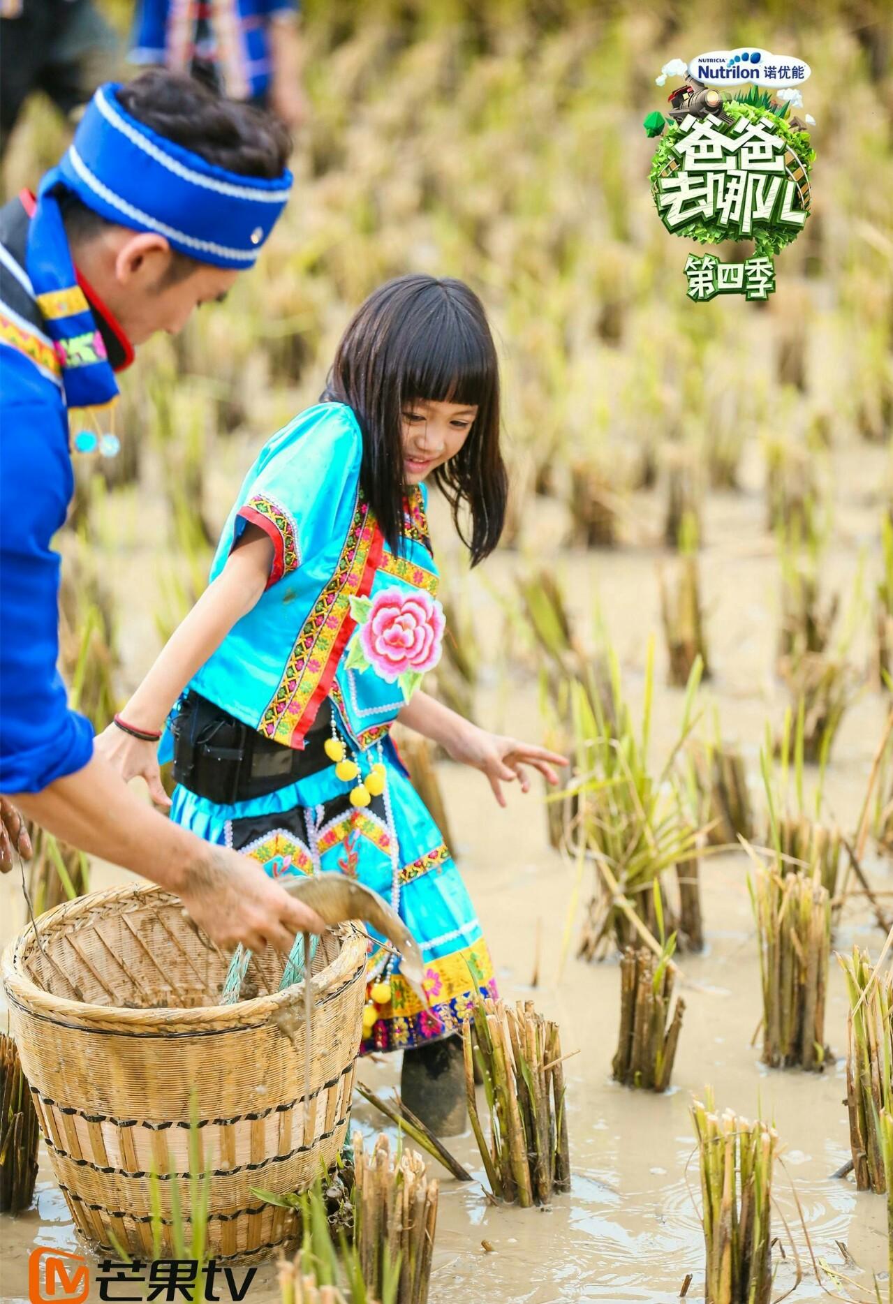 考拉超市萌翻全场,萌翻你的视频全部