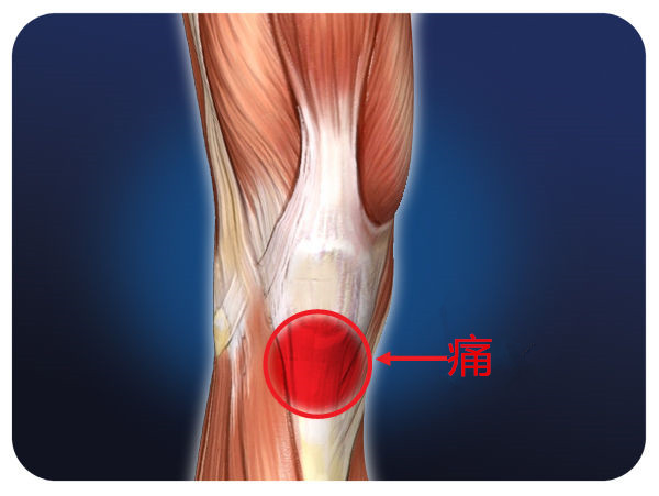 长期运动造成膝盖疼痛怎么恢复,修复膝盖关节最好的运动