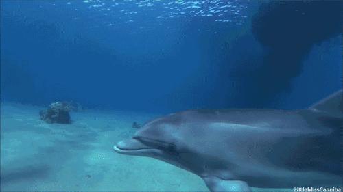 淮安龙宫大白鲨水世界旅游攻略,淮安龙宫大白鲸嬉水世界项目