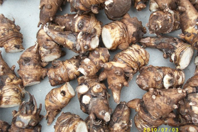 脉沉而有力经方,脉沉细微