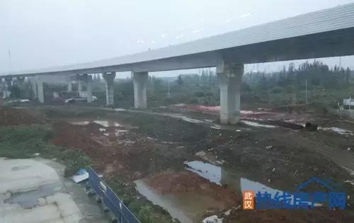 实力爆满却是捧不热的配角！幸福湾如何导演解放大道？|看房情报