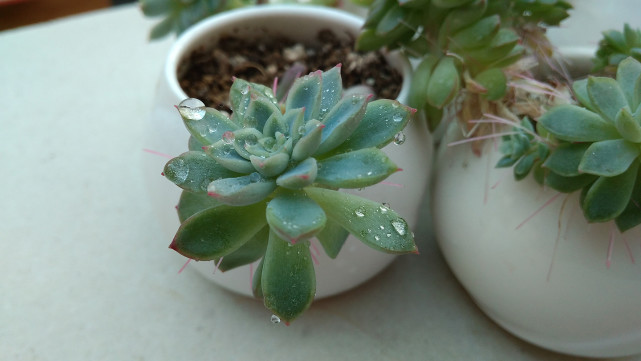 499元会玩出什么新花样？红米4A评测