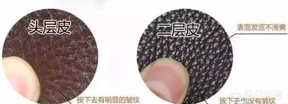 看貂皮品质,男士真假皮草如何识别