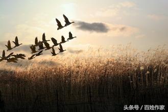 散文｜梦想的舞台作者：刘云宏（百姓作家）