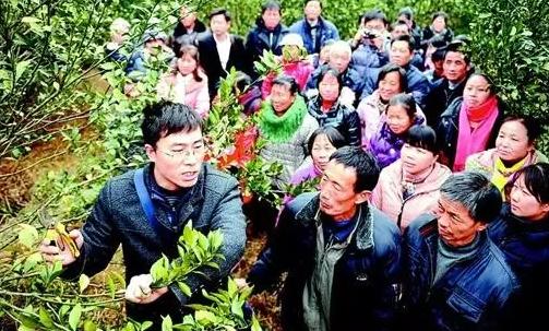 十大职业农民排行榜最新,农村职业排名