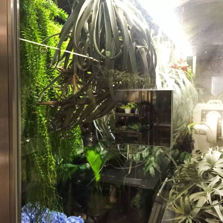 东京花店,东京南青山花店