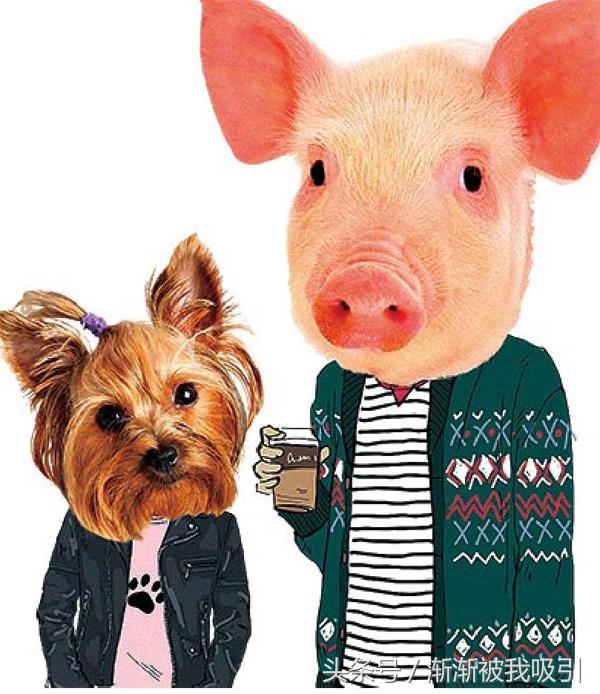 动物同性之爱：再也无法直视汤姆和杰瑞了