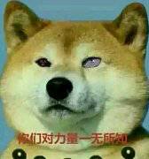 除了妹纸面基买买买，你对漫展一无所知