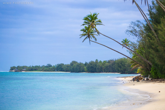库克，上帝最秘密的存在