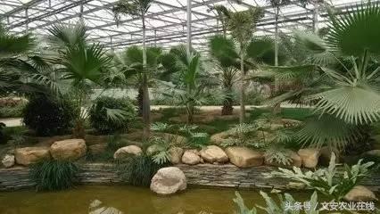 2016廊坊精品景区之“最具人气景区-九天休闲谷”