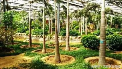 2016廊坊精品景区之“最具人气景区-九天休闲谷”