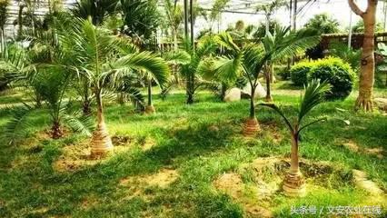 2016廊坊精品景区之“最具人气景区-九天休闲谷”