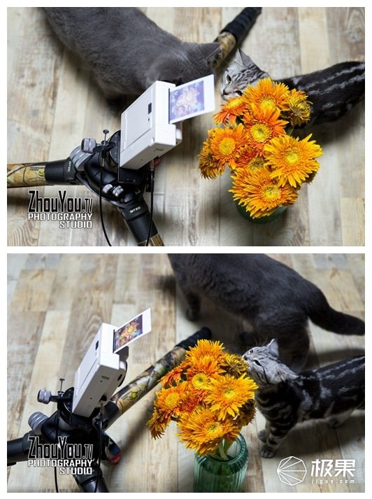 复古拍立得照片玩法,一键剪同款拍立得创意无极限