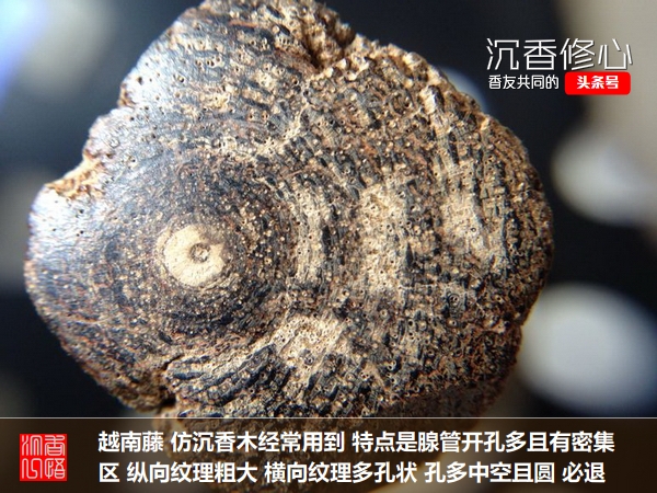 沉香假货为什么不处理,千万别错买假沉香的几个特点