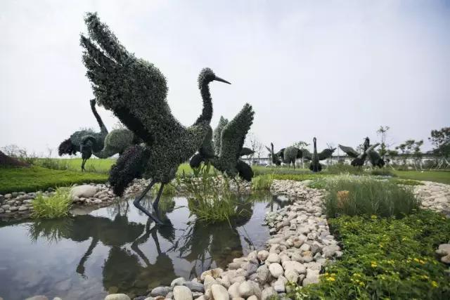 天呐！镇海将拥有宁波最大草坪？还将建宁波唯一