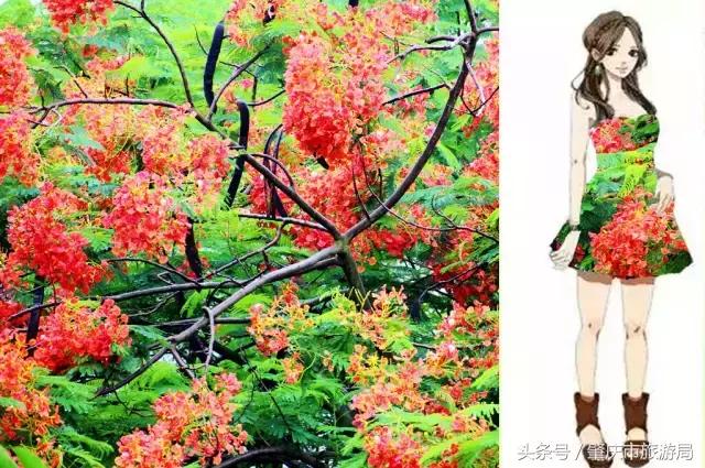 西大下了一场雨,美翻了整个肇庆!