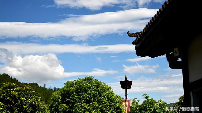 新疆野鹅自驾游视频,野鹅圣诞节自驾游