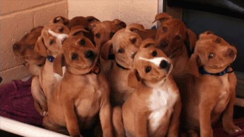 当企业面临困境的时候,当客户出现信任危机怎么解决