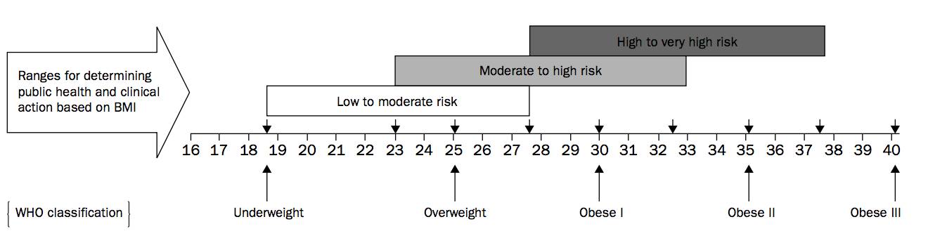 bmi减肥最佳方法,bmi减肥的最好方法