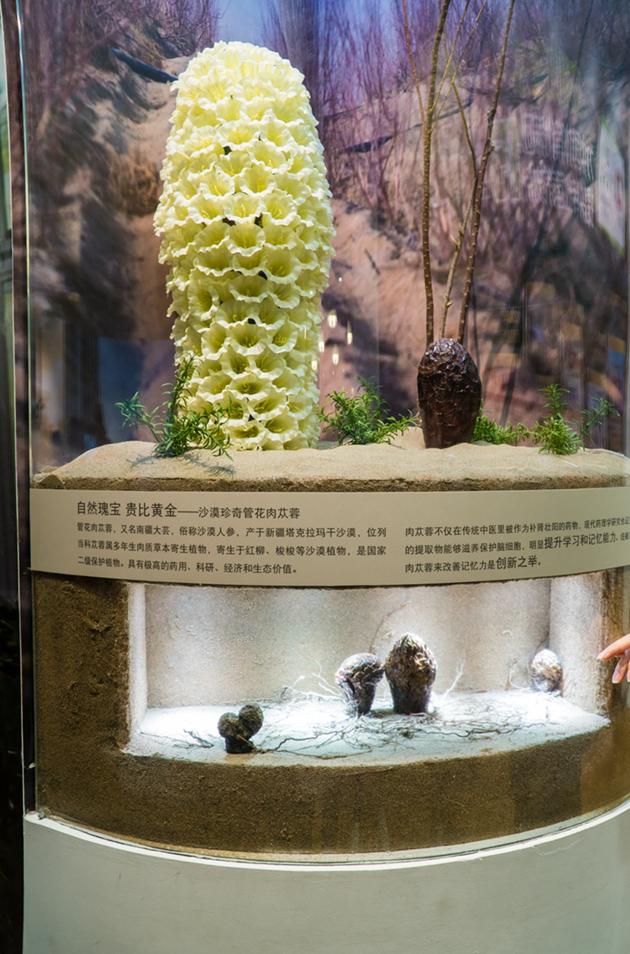 美妆达人悦小舞：带你体验雅姿活肤肌底液