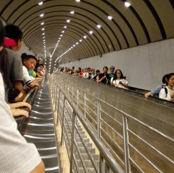 张家界优质导游,张家界良心好评导游