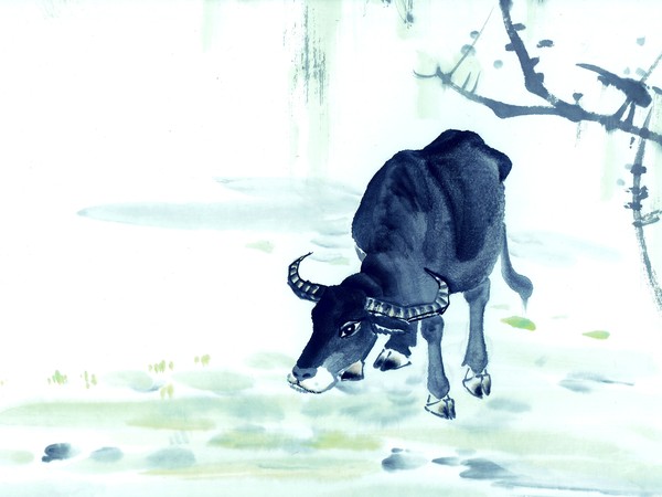 生肖牛近几日运程,生肖牛近十年运程