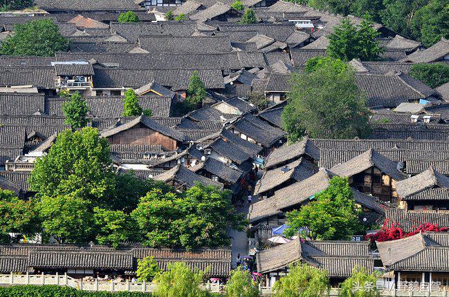 新疆野鹅自驾游视频,野鹅圣诞节自驾游