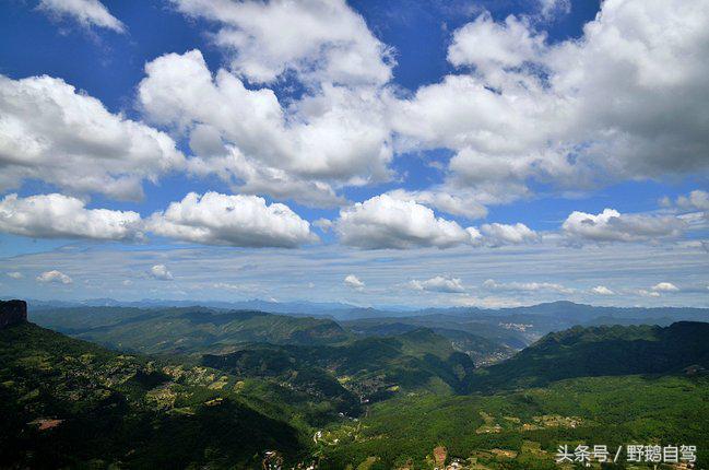 新疆野鹅自驾游视频,野鹅圣诞节自驾游