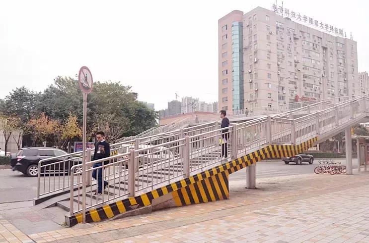 全国十大最美银杏大学,全国最美银杏大学