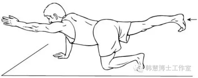 北京韩老师体态训练视频教程,韩博士运动康复